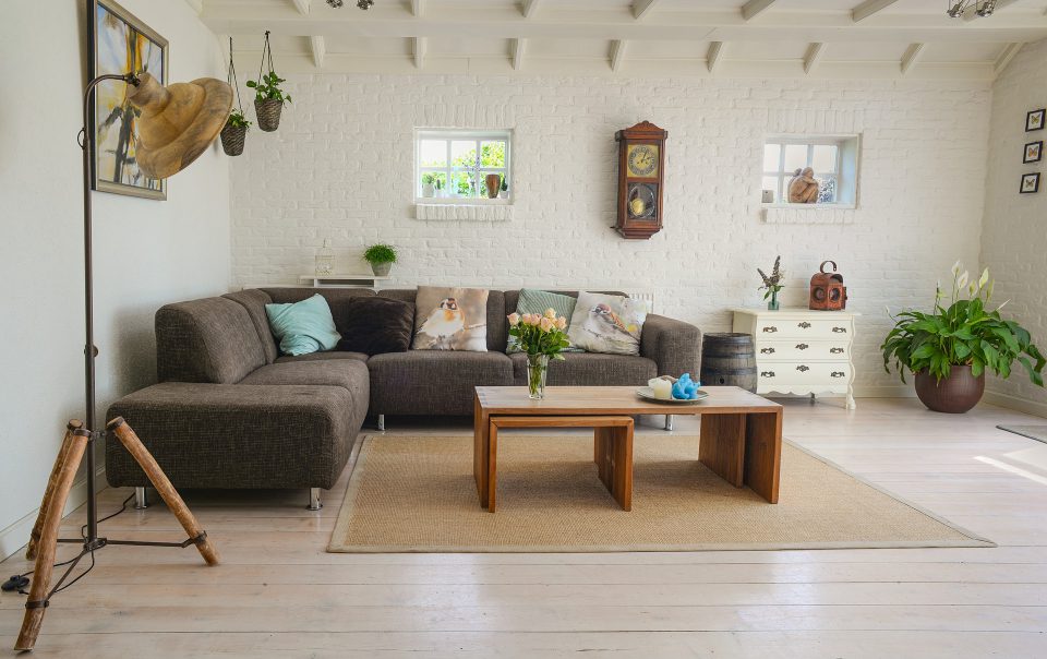 living room design with indoor plants